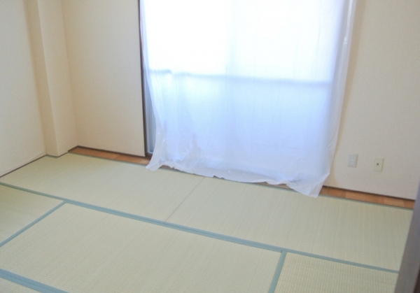 その他写真9
