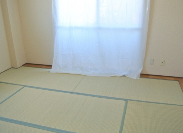 その他写真10