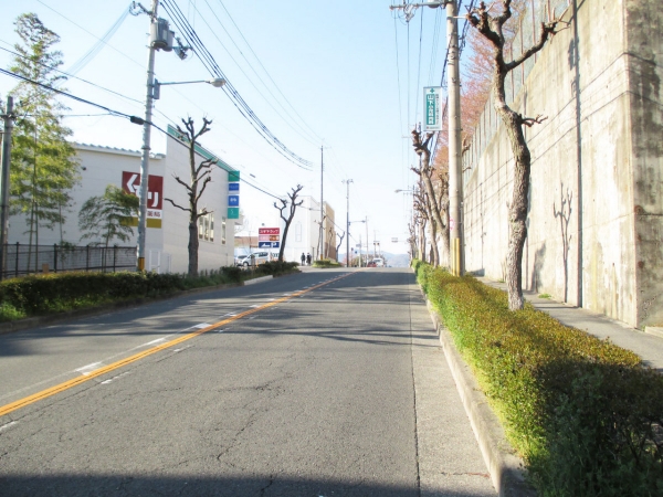 その他写真8